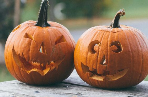 carved Halloween pumpkins