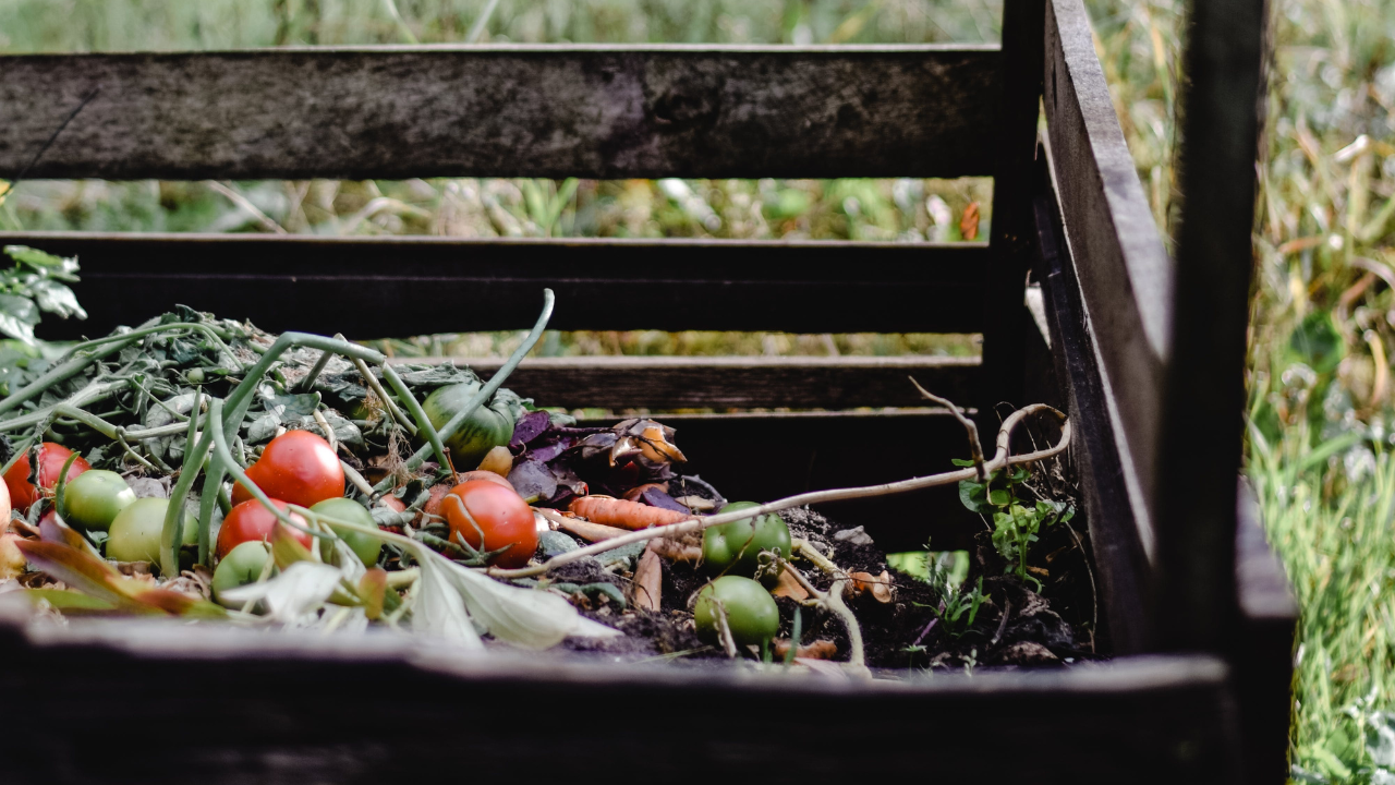 Kitchen Composting: A Complete Beginner's Guide - Compost Magazine