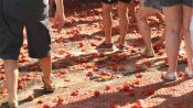 la tomatina