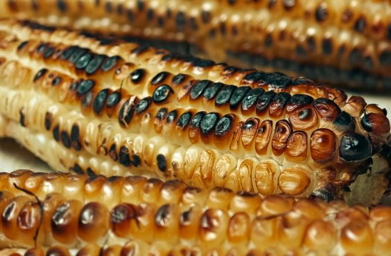 How to grill corn on the braai