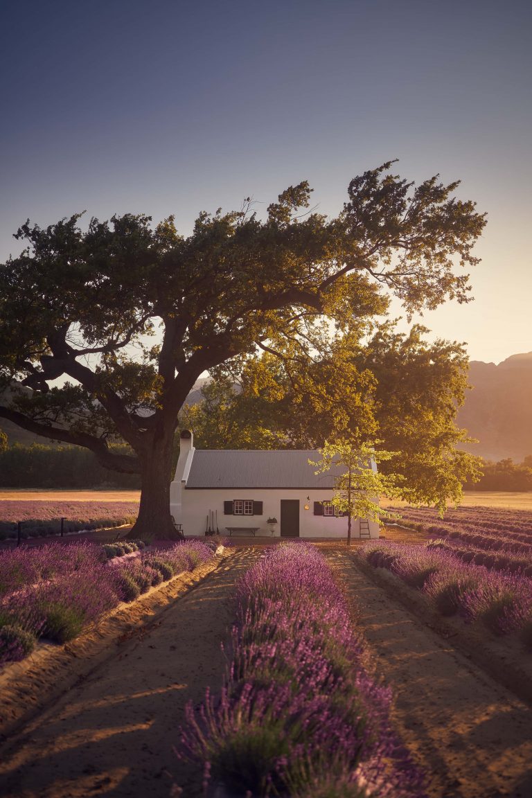 Jan Franschhoek